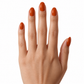 Burnt Orange